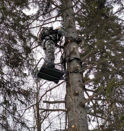 tree-stands