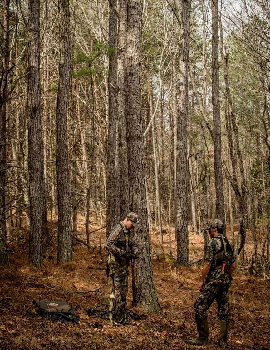 Tips for Finding and Creating Great Treestand Locations North