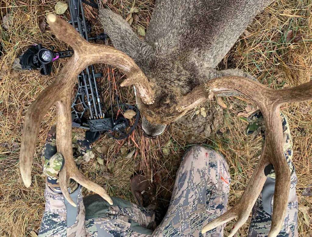Treestand vs. Ground Hunting Is it Time to Adapt? North American
