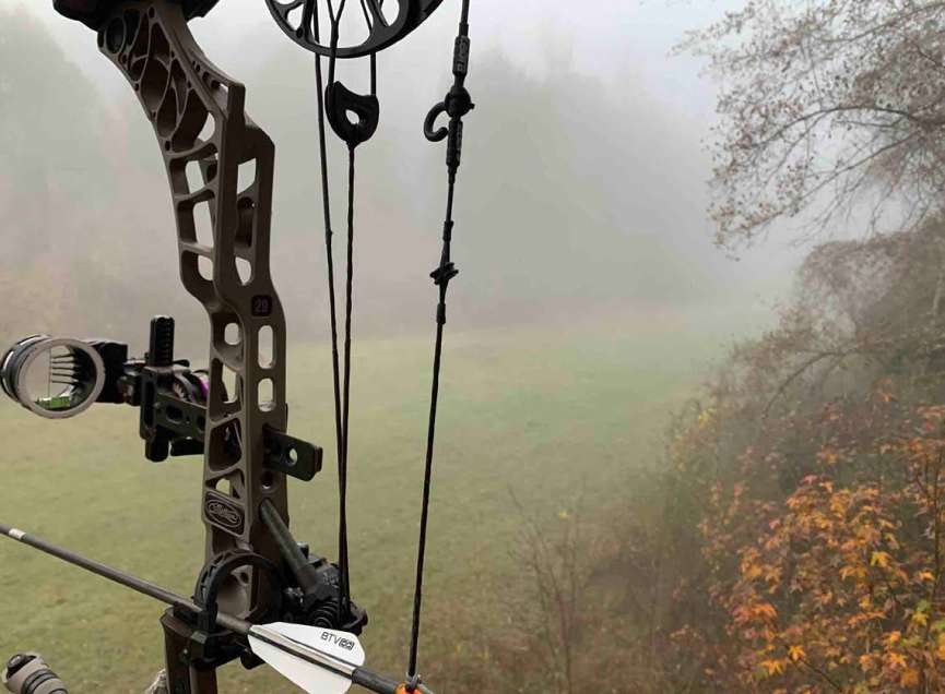 Treestand vs. Ground Hunting Is it Time to Adapt? North American