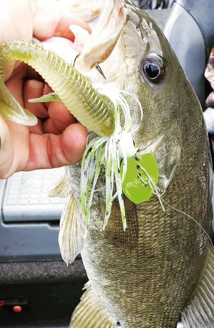 Can you beat a chatterbait as a search tool for pre spawn bass