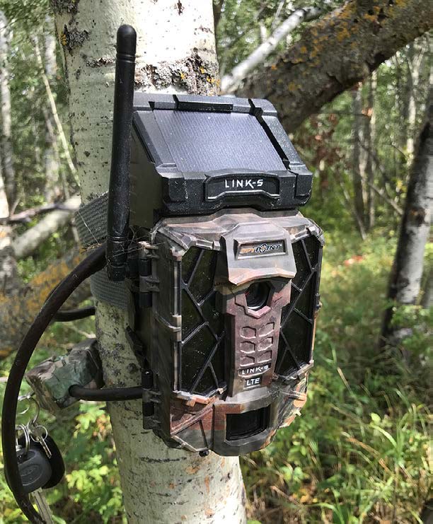 solar-powered-trail-cam