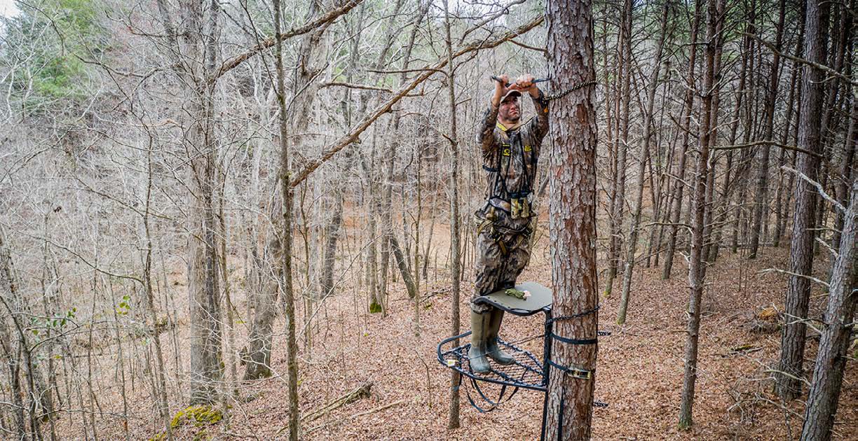 treestand