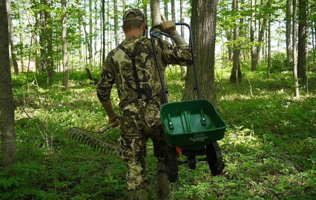 the-poor-man-s-food-plot-north-american-deer-hunter