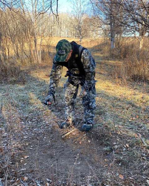 When is Deer Rutting Season? Timing Deer Rut in 2026