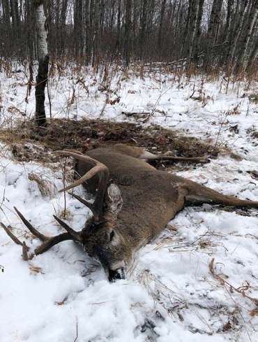 Whitetail Heaven: Hunting in Manitoba - North American Deer Hunter