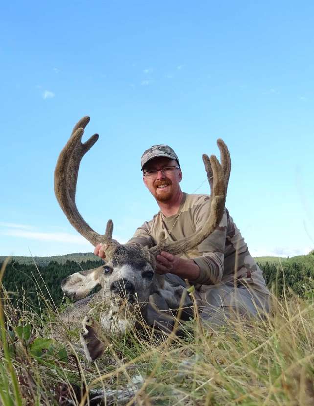 mule-deer