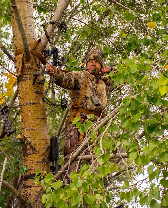 treestand