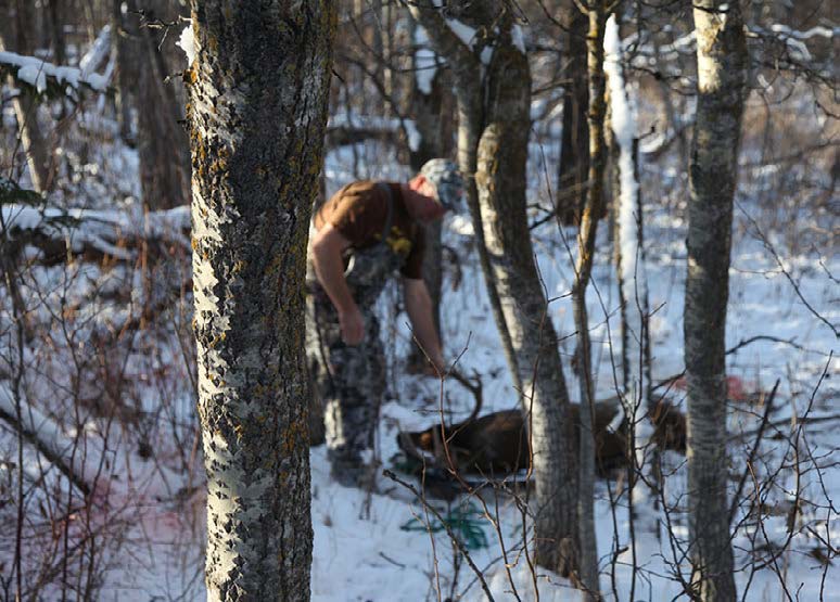 Retrieving