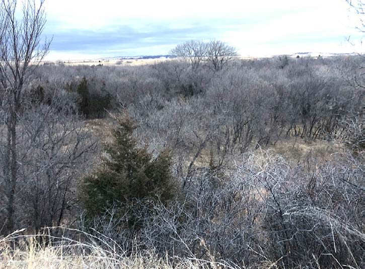 South Dakota bluff