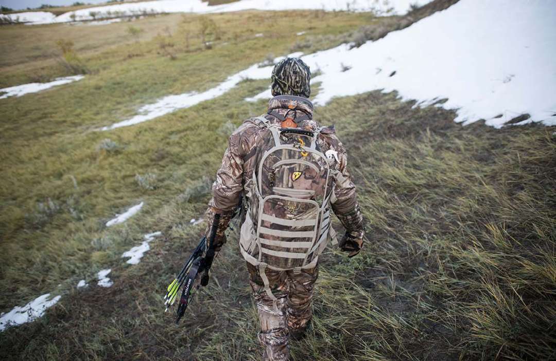 Aggressive Archery Tactics for Rutting Mule Deer North American Deer