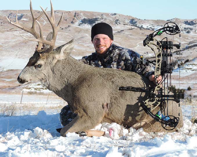 Aggressive Archery Tactics for Rutting Mule Deer - North American Deer ...