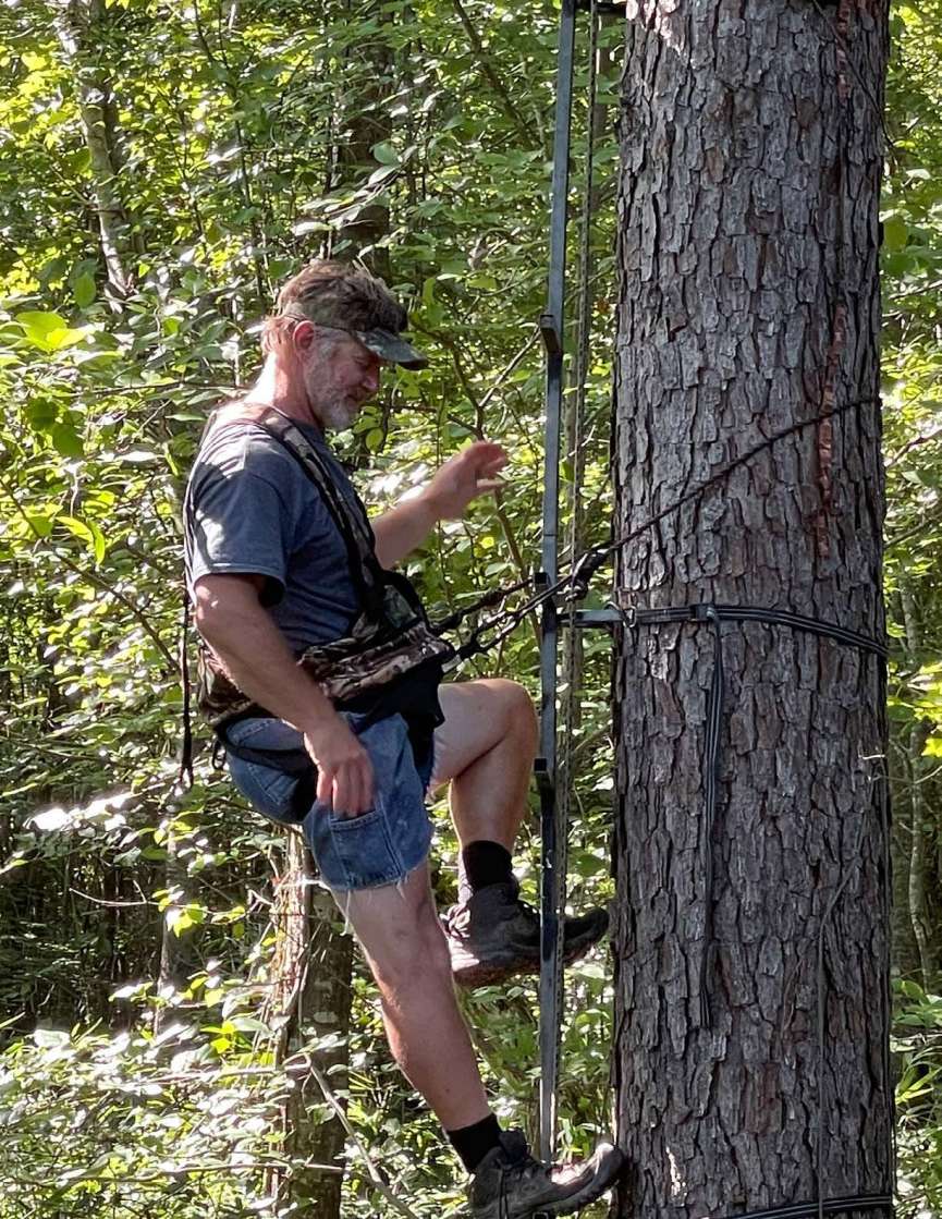 Treestand Safety Tips To Know North American Deer Hunter