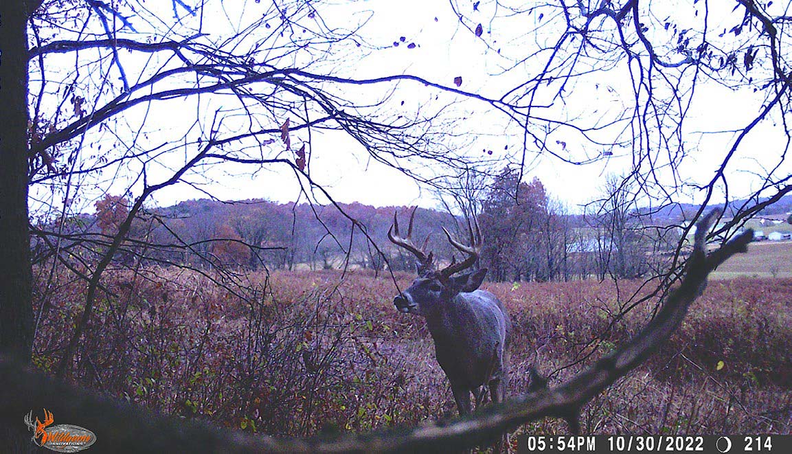 trail-camera