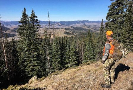 Using E-Scouting for Greater Success Afield pete