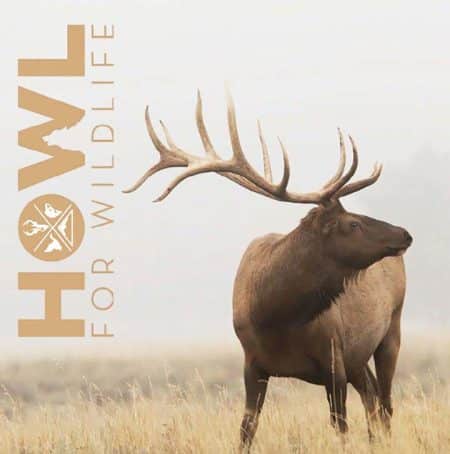Howl for Wildlife — Giving Hunters and Anglers a Powerful Voice howl-for-wildlife