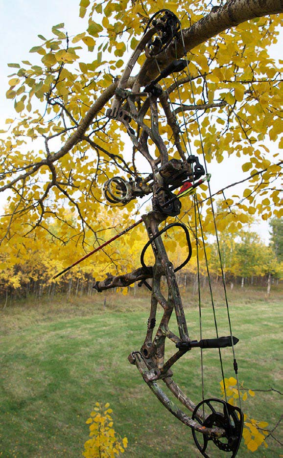 treestand