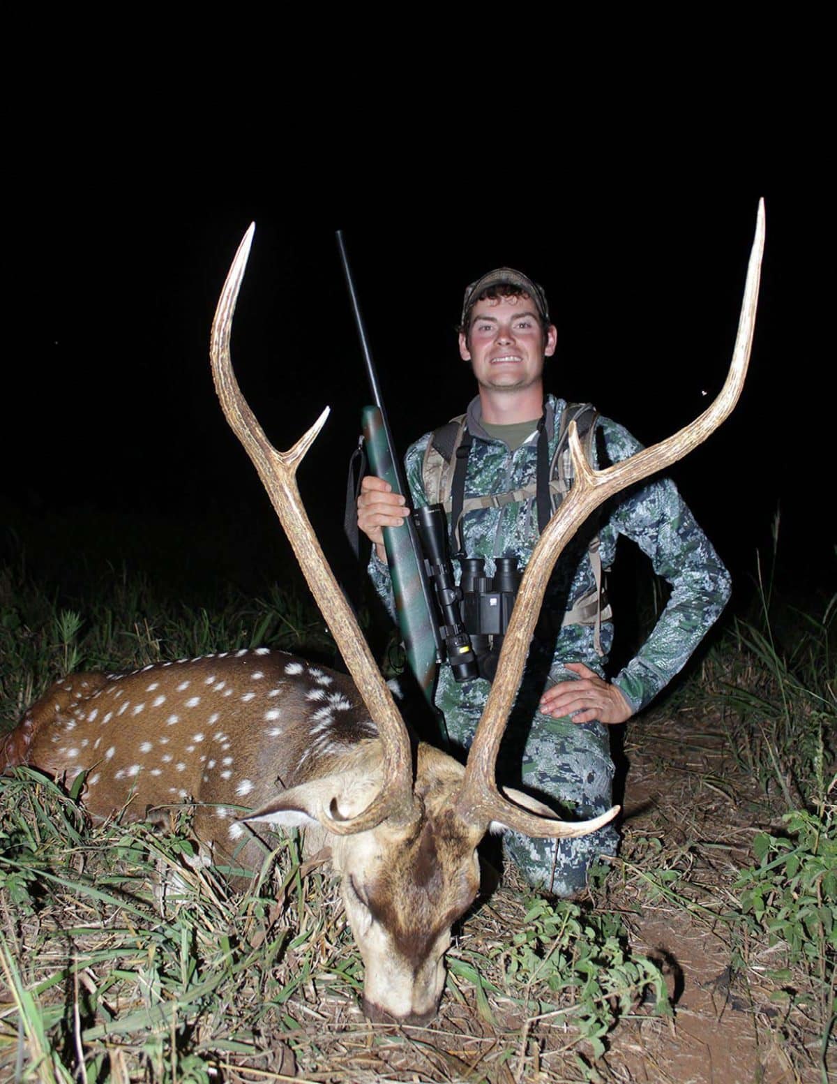 Axis Deer Of Hawaii North American Deer Hunter