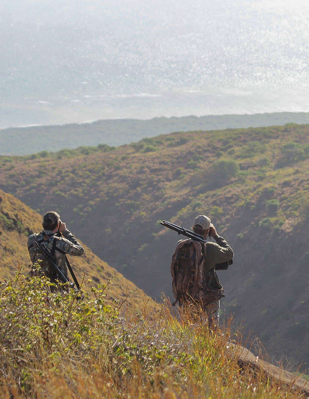 Axis Deer Of Hawaii - North American Deer Hunter