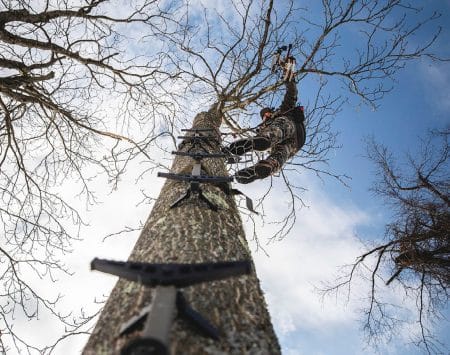 Selecting a Tree Stand or Ground Blind climbing