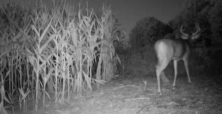 S1.E3 | Mid-September Food Sources & Cold Fronts