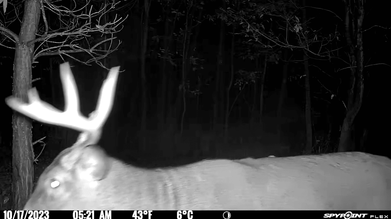 Last week of October Rut Report Episode 7 North American Deer Hunter