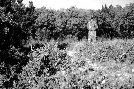 Common Mistakes made while Whitetail Deer Hunting deer