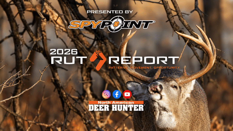 2026 Rut Report