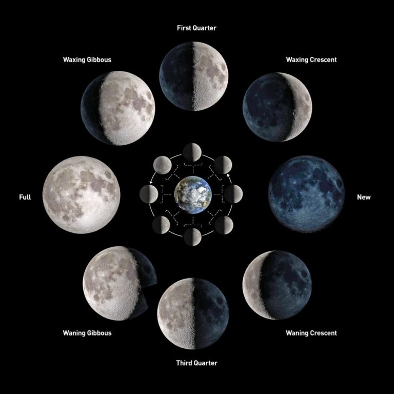 Phases-of-the-Moon-