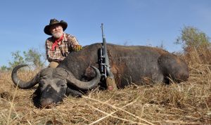 Cape Buffalo