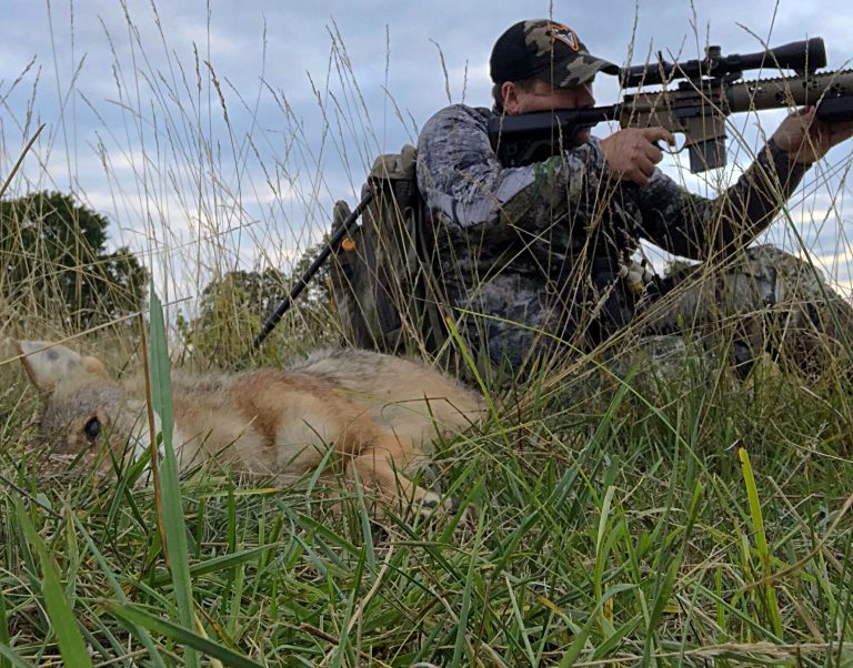 Coyote Hunting Tips and Tactics