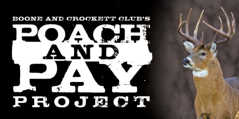 Boone and Crocket Club logo