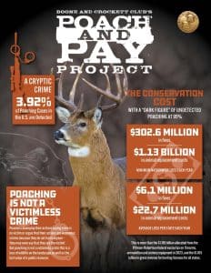 Infographic on the costs of Poaching