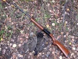 short, light gun for grouse hunting