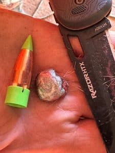 Muzzleloader bullet showing expansion