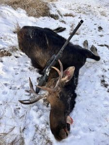 Fenson 2 - North American Deer Hunter Alberta bull moose and a Thompson Center encore preHunter