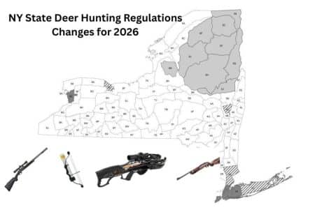 NY State Deer Hunting Regulations