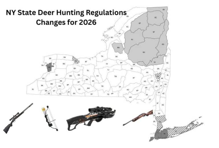 NY State Deer Hunting Regulations
