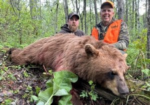 T.J. Schwanky with his color phase bear