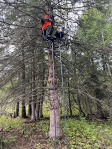 Treestand set up at bait site.