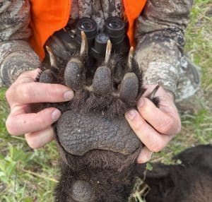 Justin Biddle shot a long-clawed boar.