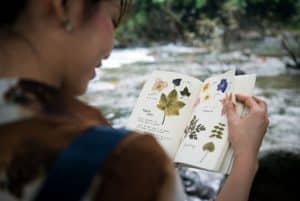 Person holds an open book with pressed leaves, reading by a flowing river edge.
