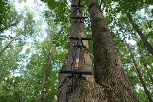 author's selection for best designed climbing sticks