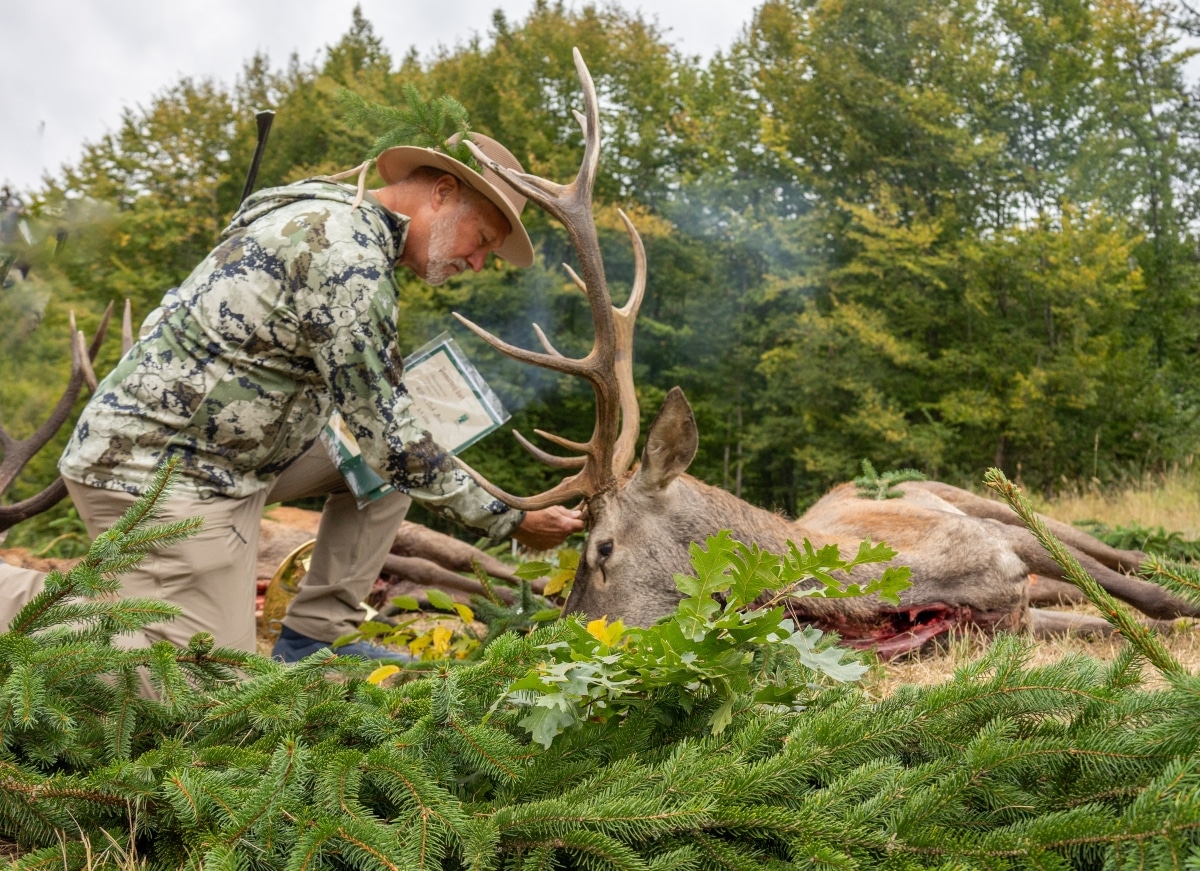 slovakia_red_deer