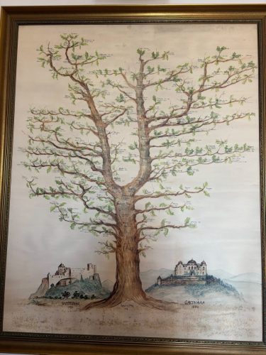 Hotel Galicia Nueva family tree of ownership