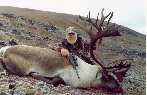 caribou